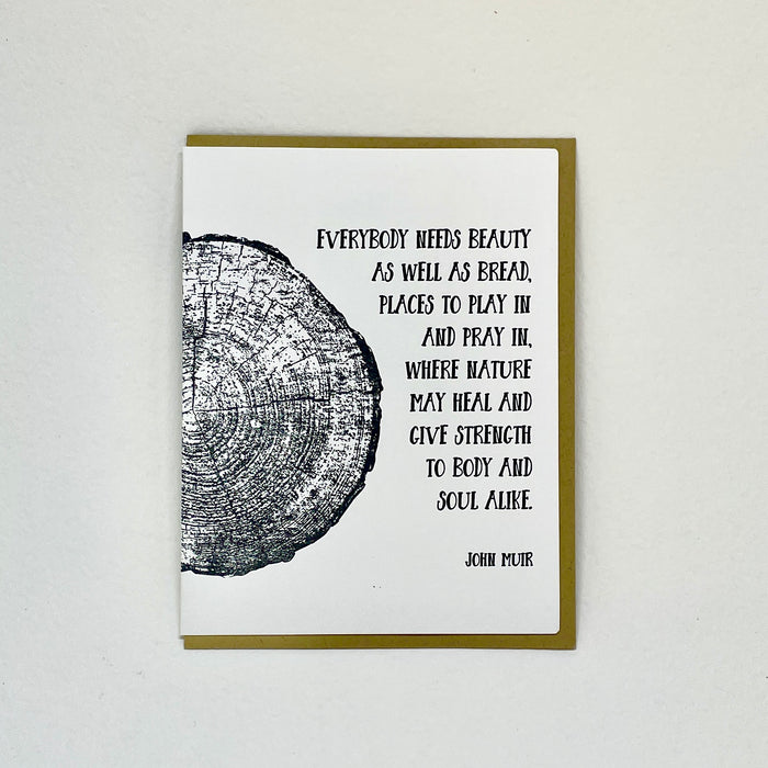 Everybody Needs Beauty - John Muir
