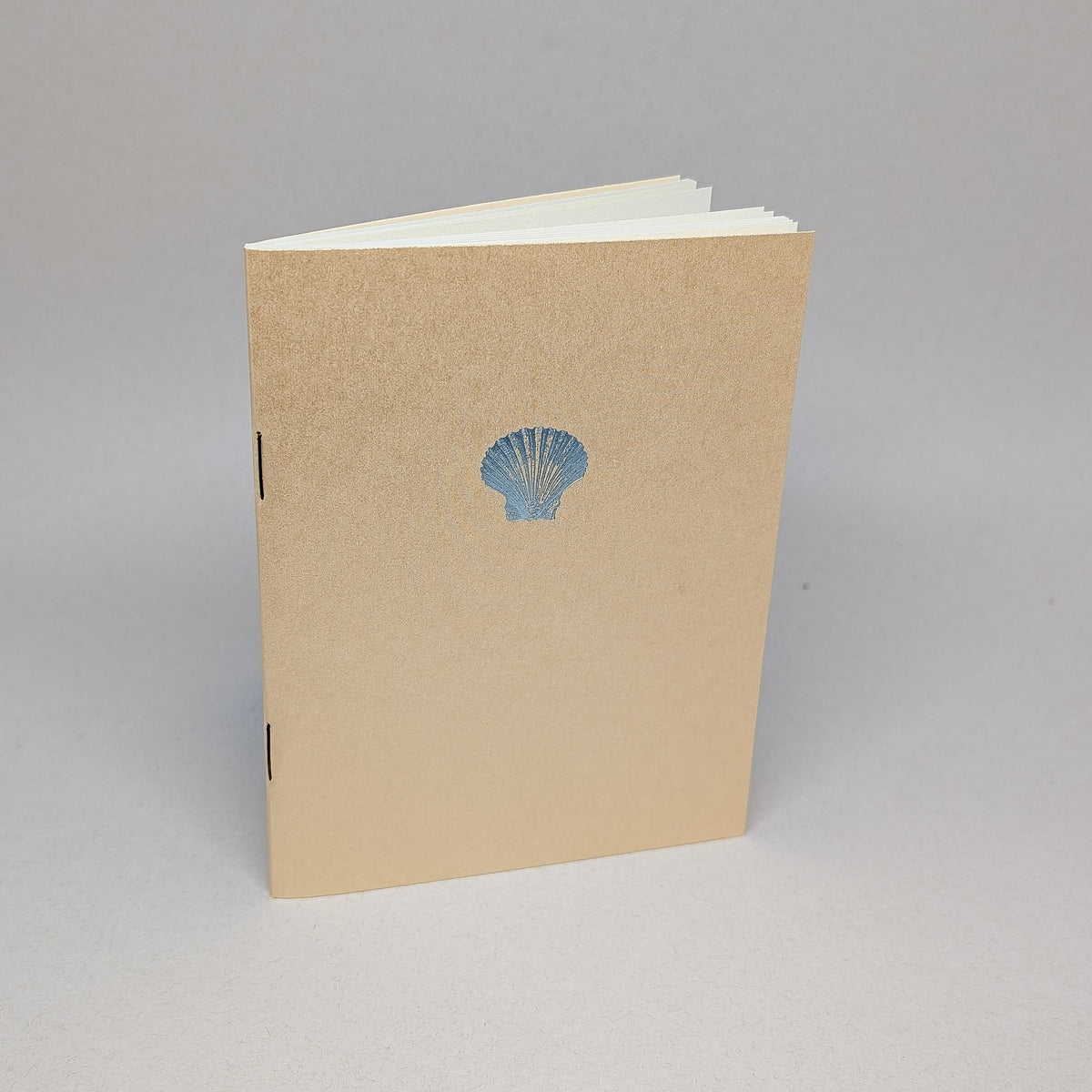 Sea Shell Logbook (Limited Edition Cover)
