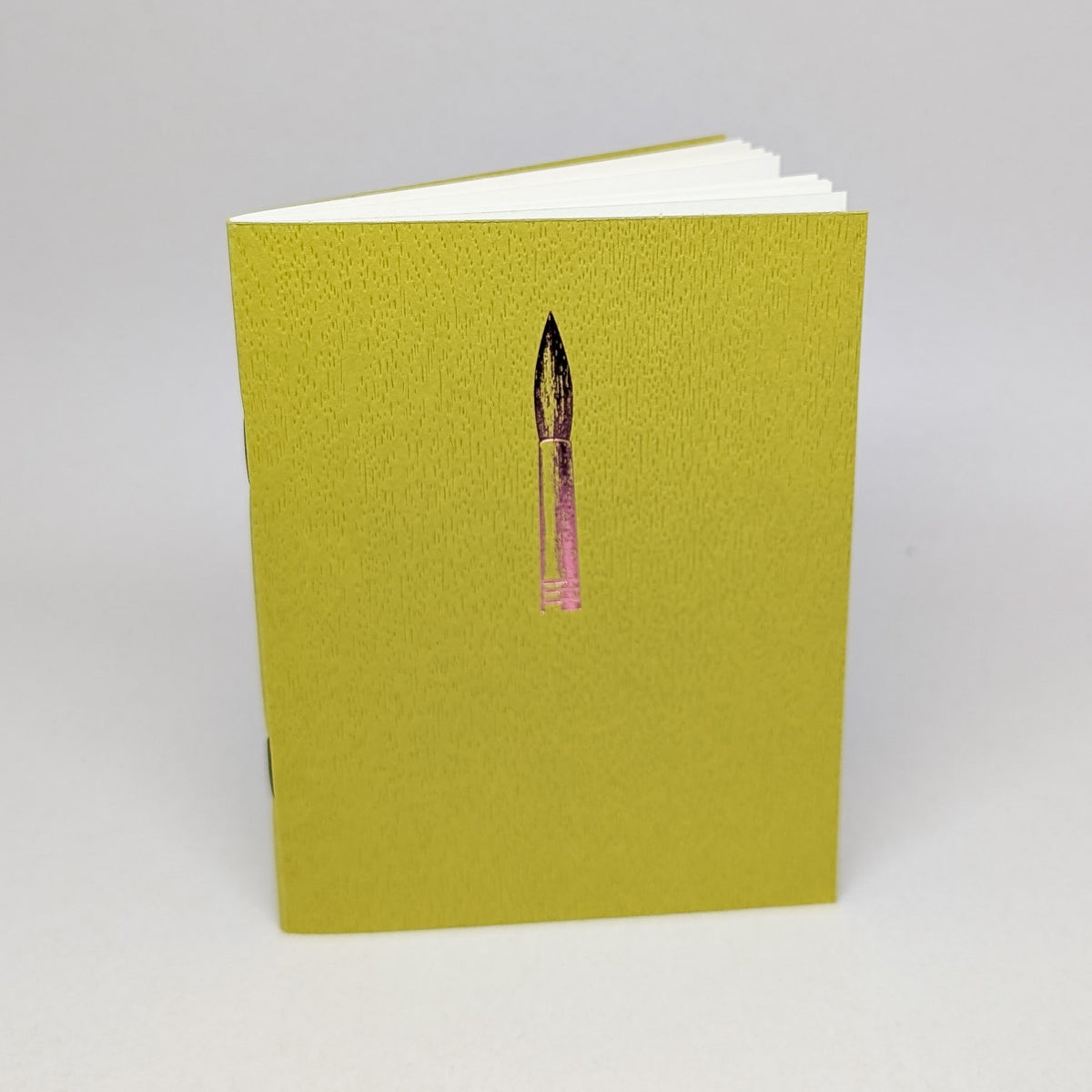 Artist Brush Logbook (Limited Edition Cover)