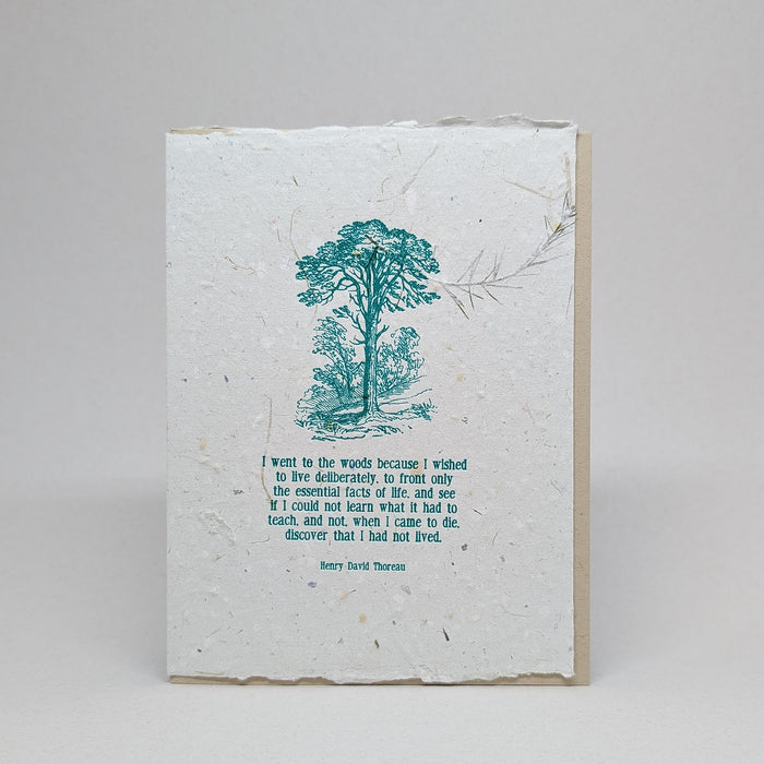 I Went to the Woods - Henry David Thoreau (Dyer's Coreopsis)