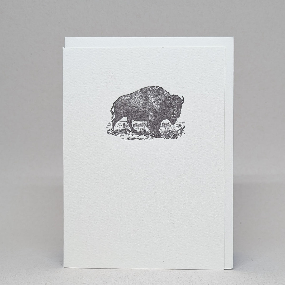 Bison - Notecard