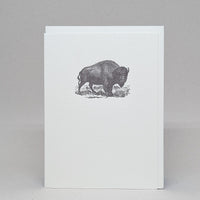 Bison - Notecard