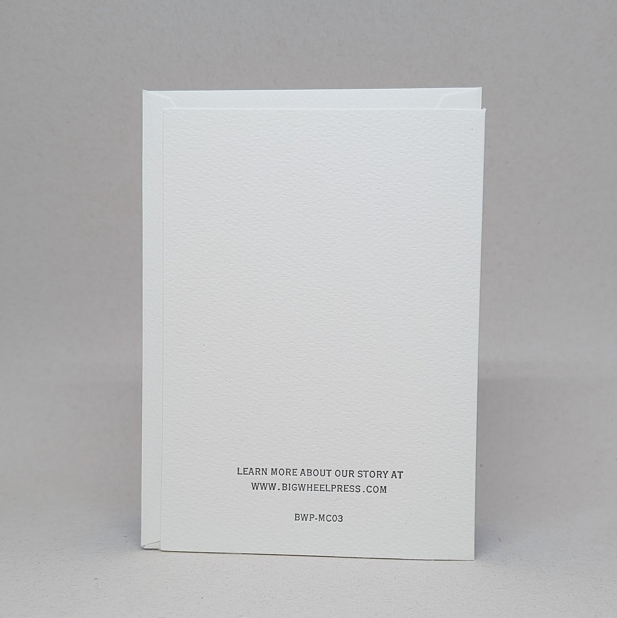 Bison - Notecard