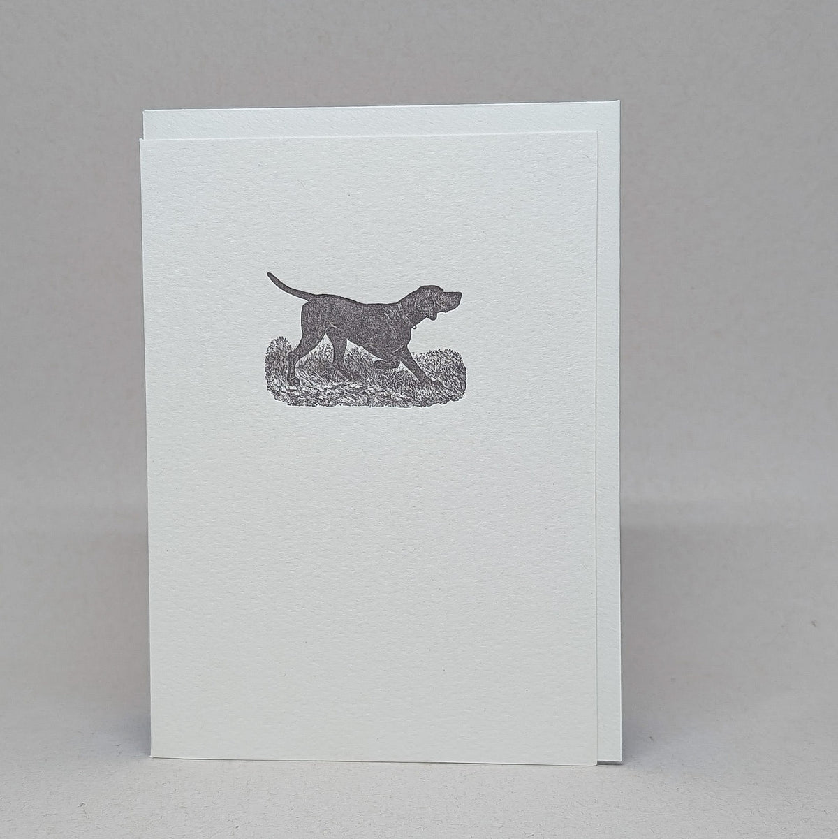 Pointer - Notecard
