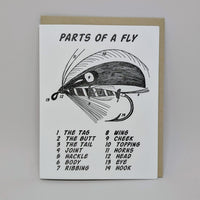 Parts of a Fly