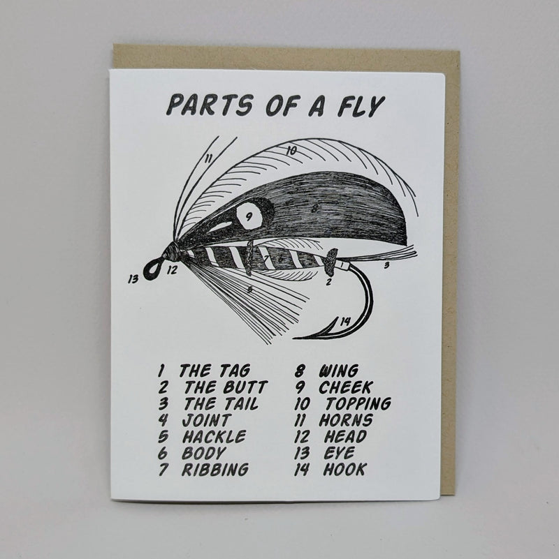Parts of a Fly