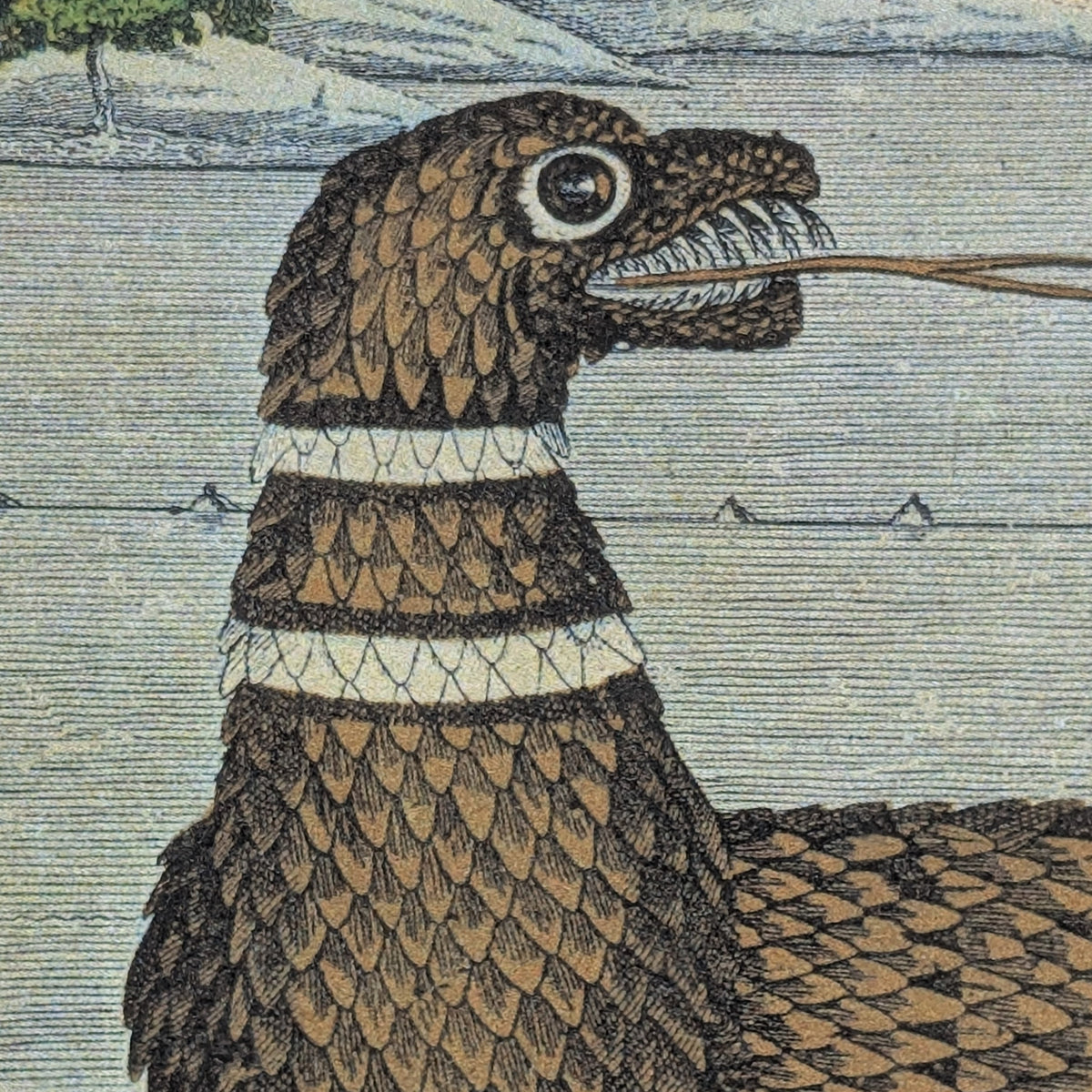 Greetings from the Coast - Scaly Sea Serpent