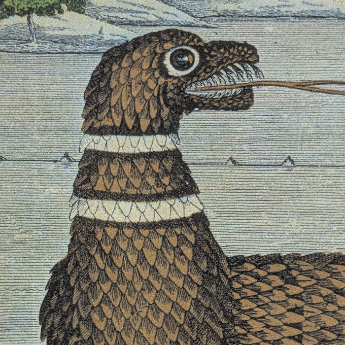 Greetings from the Coast - Scaly Sea Serpent