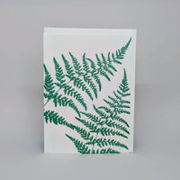 Silverback Fern