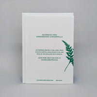 Silverback Fern