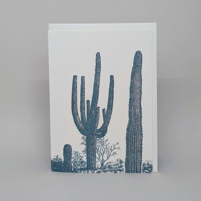 Southwest Cacti