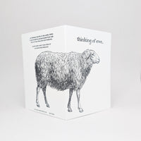 Thinking of Ewe
