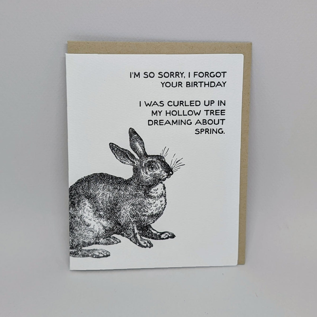 Forgot your Birthday Rabbit