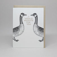 I would Migrate for You