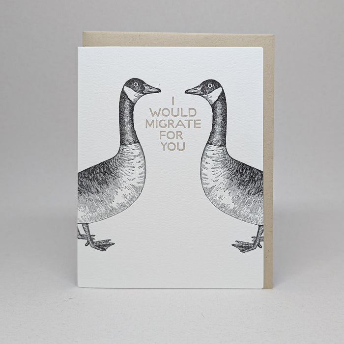 I would Migrate for You