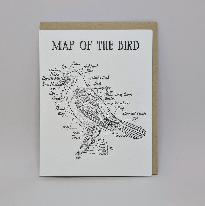 Map of the Bird