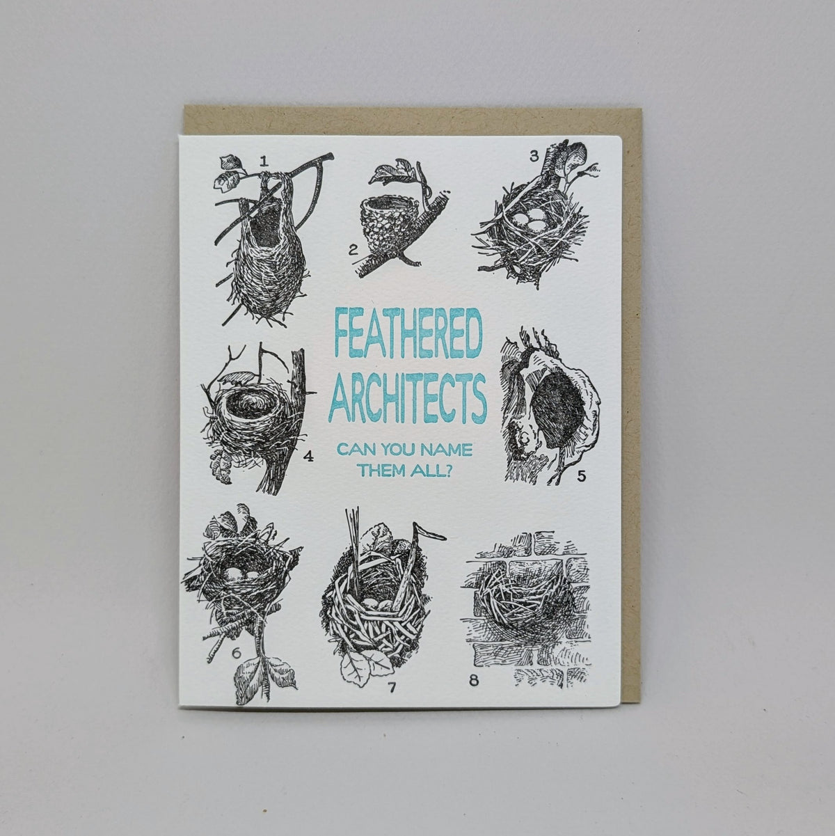 Feathered Architects