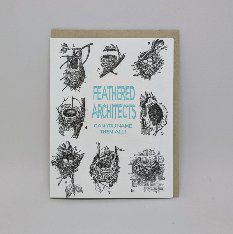 Feathered Architects
