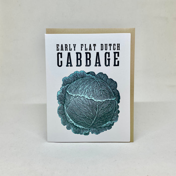Early Flat Dutch Cabbage - Shaker Seeds
