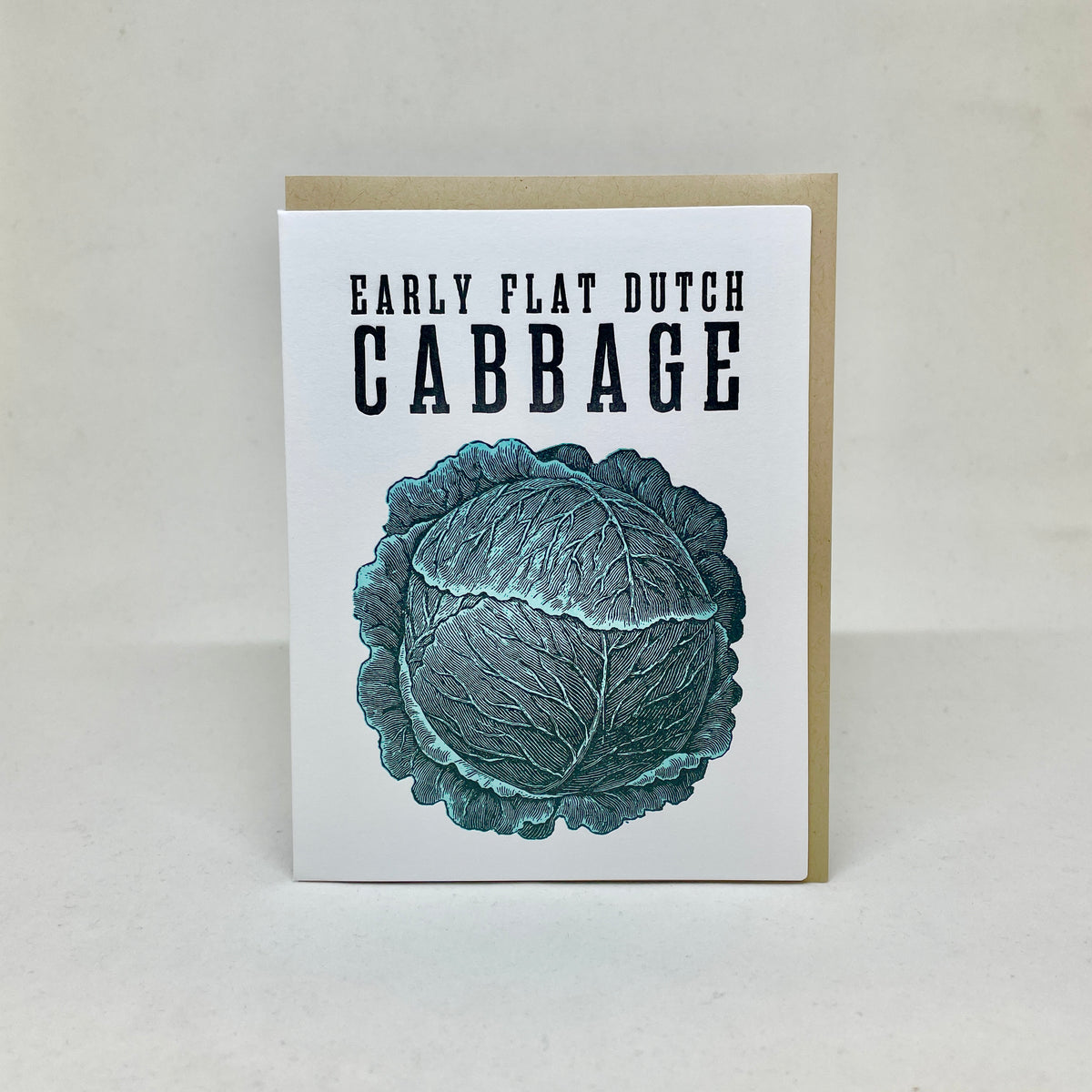 Early Flat Dutch Cabbage - Shaker Seeds