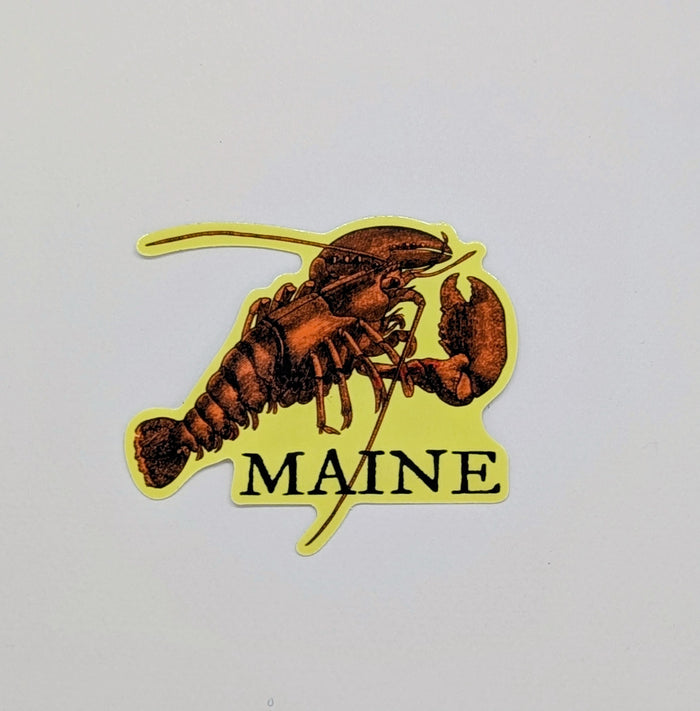 Maine Lobster (Sticker)