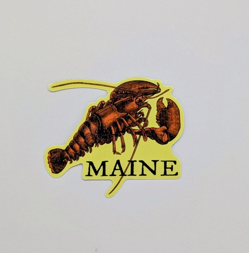 Maine Lobster (Sticker)