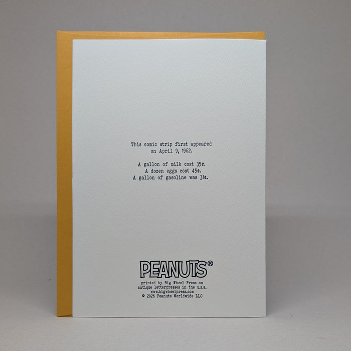 Every day is Somebody's Birthday - Peanuts