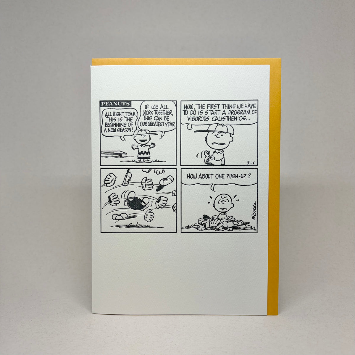 Beginning of a New Season - Peanuts