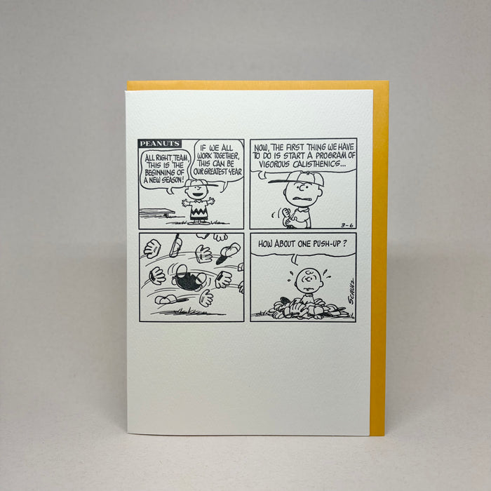 Beginning of a New Season - Peanuts