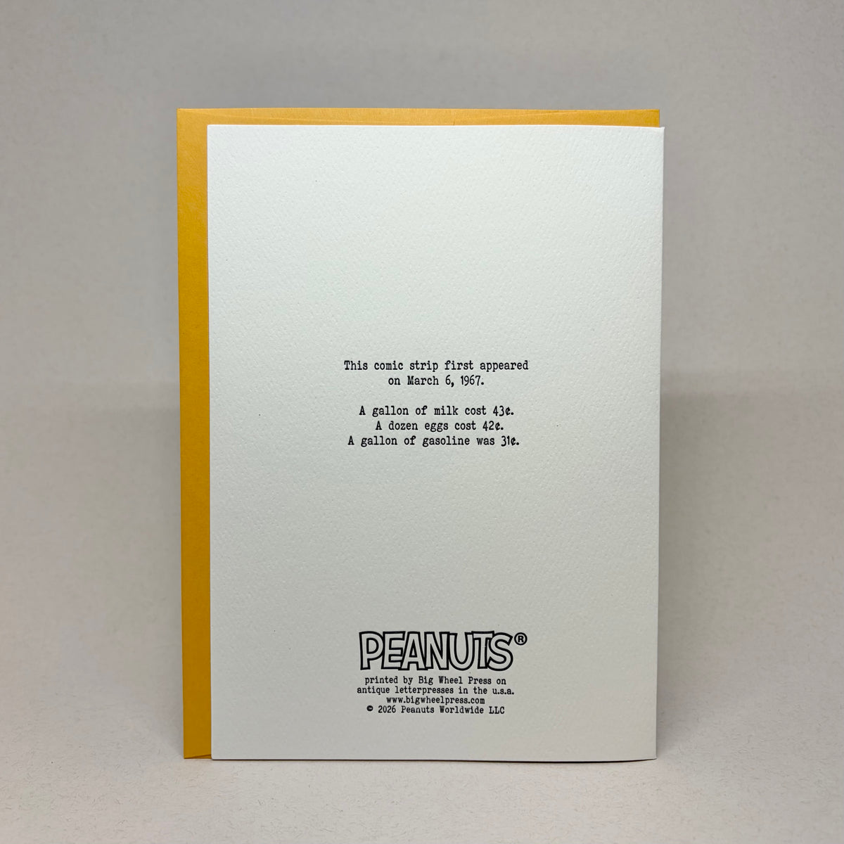 Beginning of a New Season - Peanuts