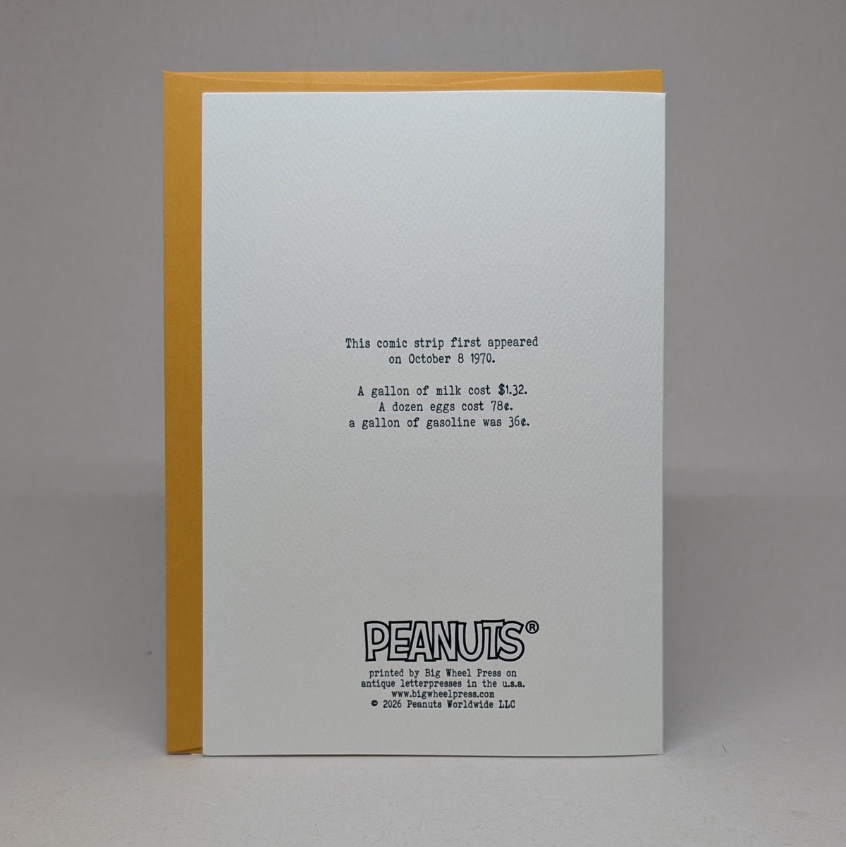 Brisk Fall Day - Peanuts