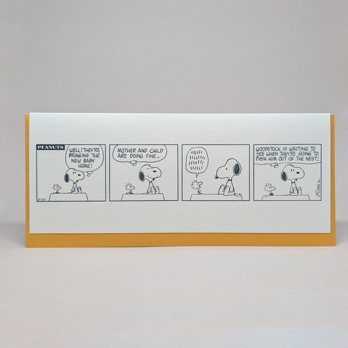 Bringing the New Baby Home - Peanuts