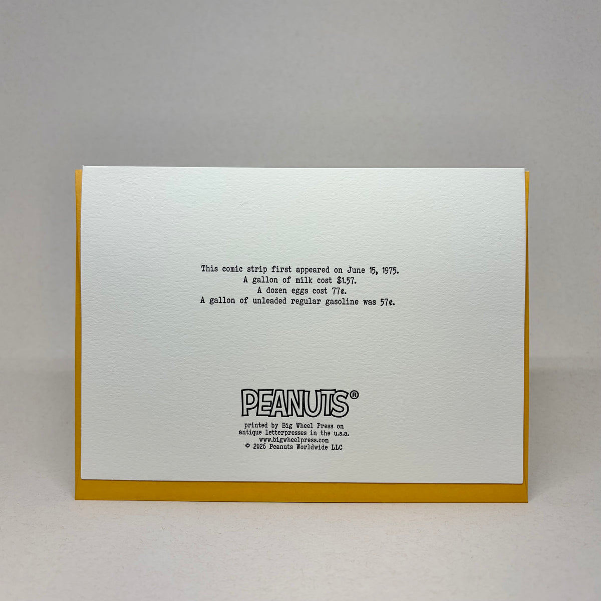 My Son The Loser - Father's Day - Peanuts