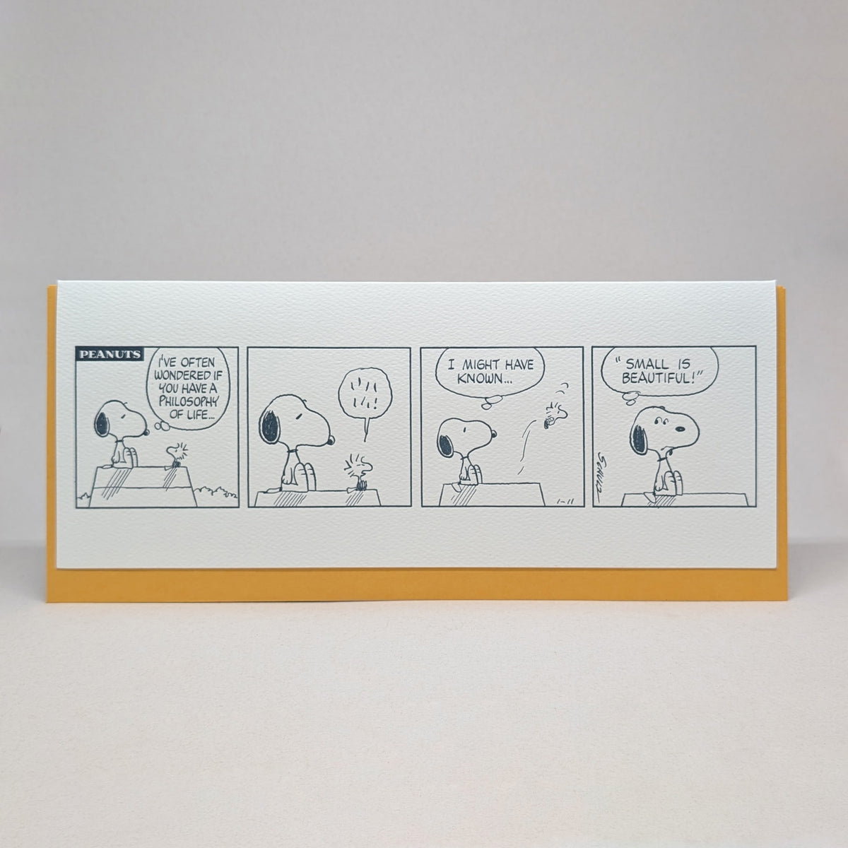 Philosophy of Life - Peanuts