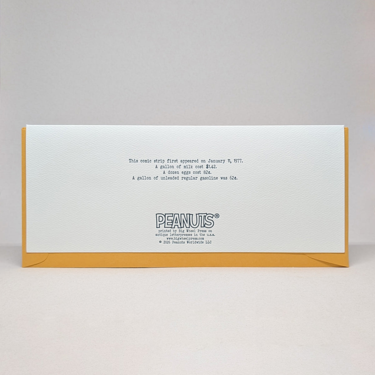 Philosophy of Life - Peanuts