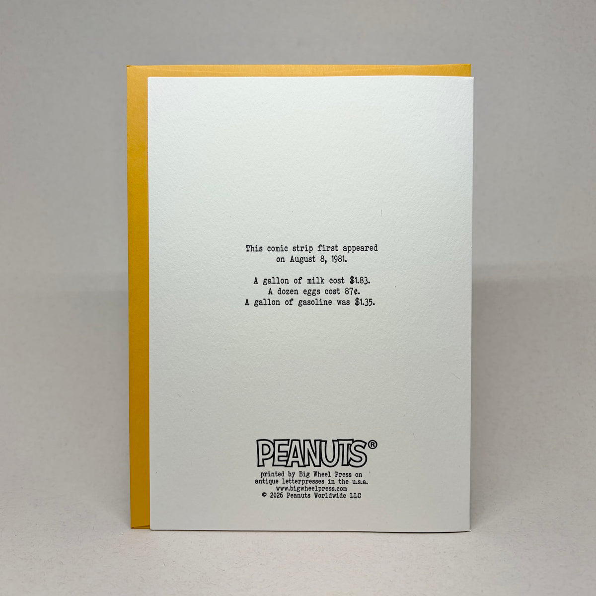 Woodstock's Beach Day - Peanuts