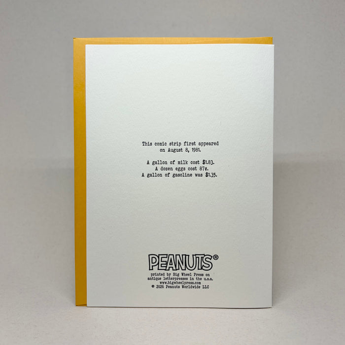 Woodstock's Beach Day - Peanuts