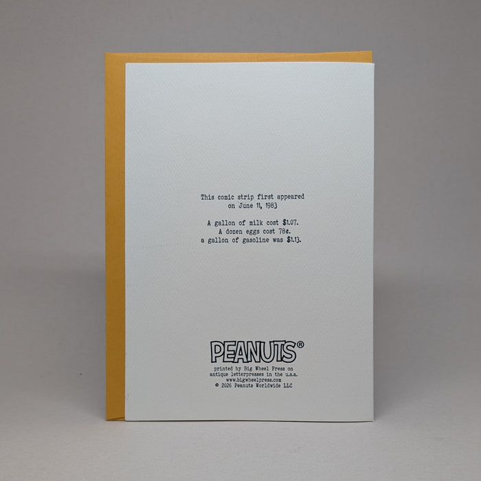 Woodstock's Rain Song - Peanuts