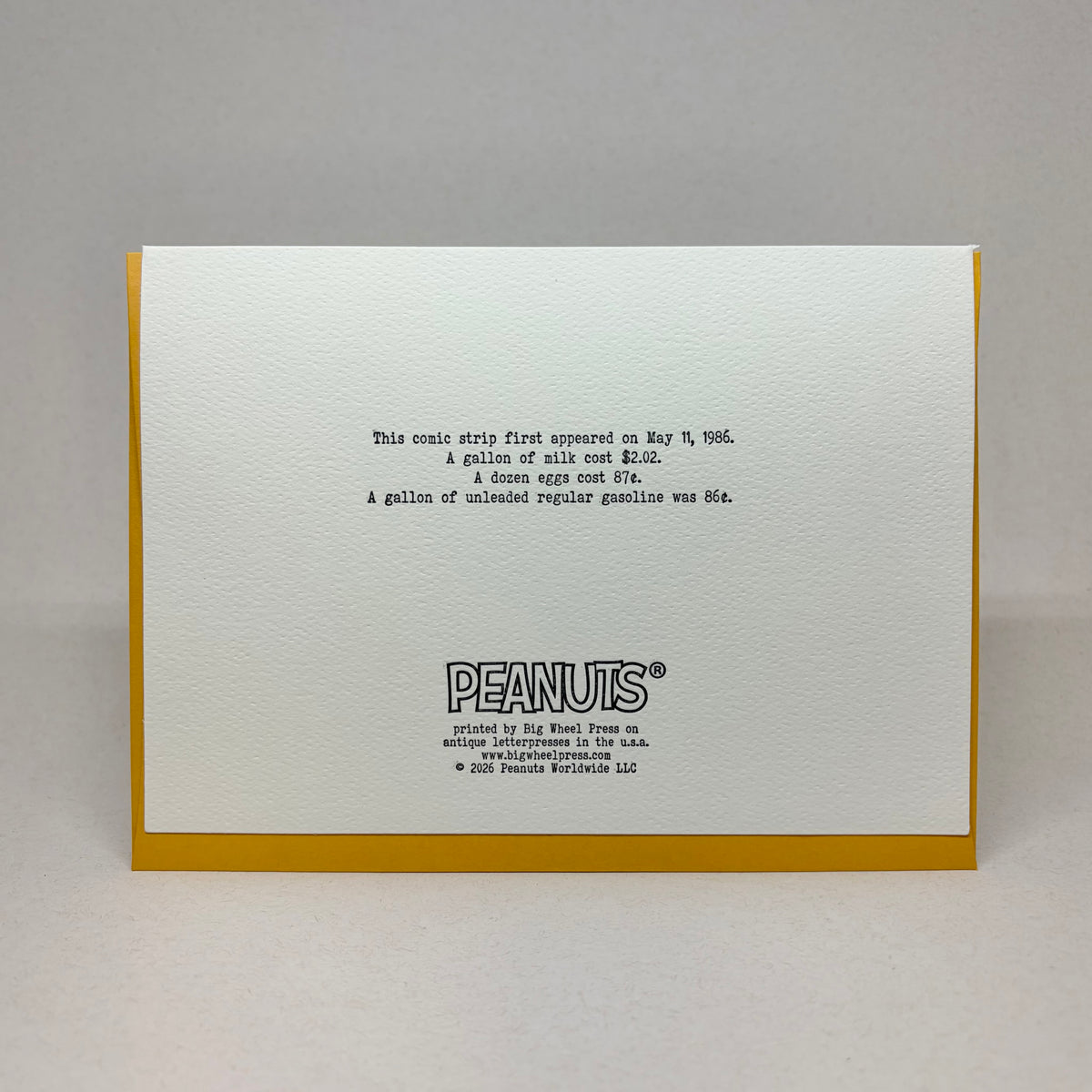 A Perfect Time to Write to Your Mother- Peanuts