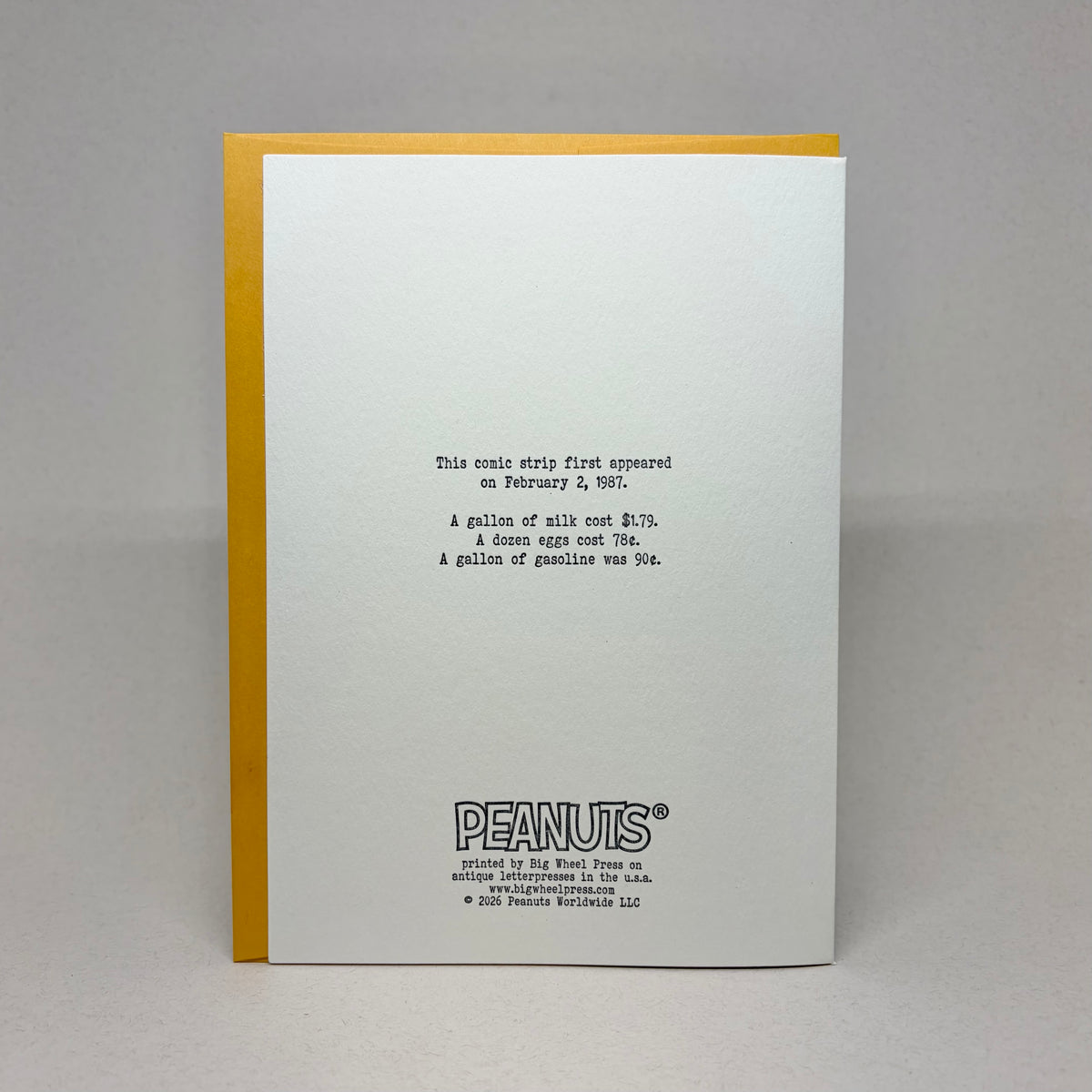 Ma'am, Do you Think there is a Chance? - Peanuts