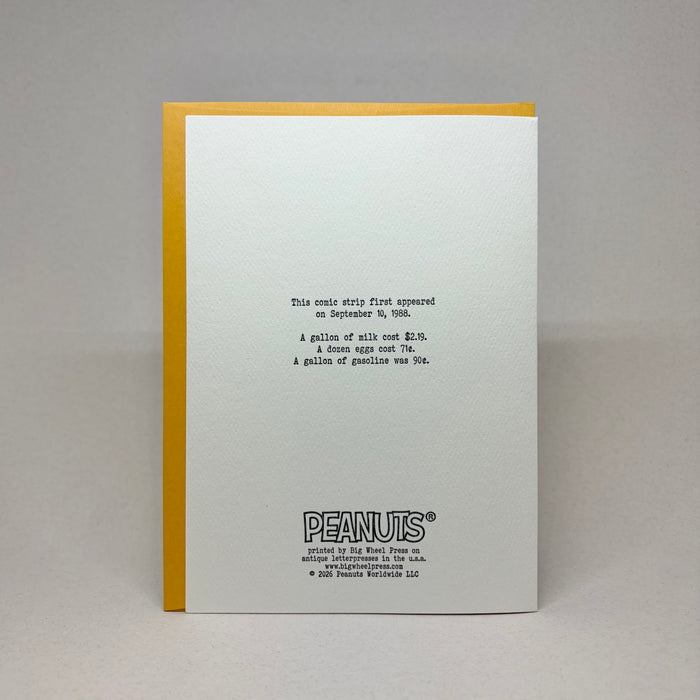 Listen to the Ocean - Peanuts