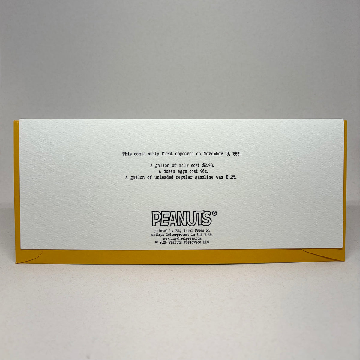 Campout with Snoopy - Peanuts