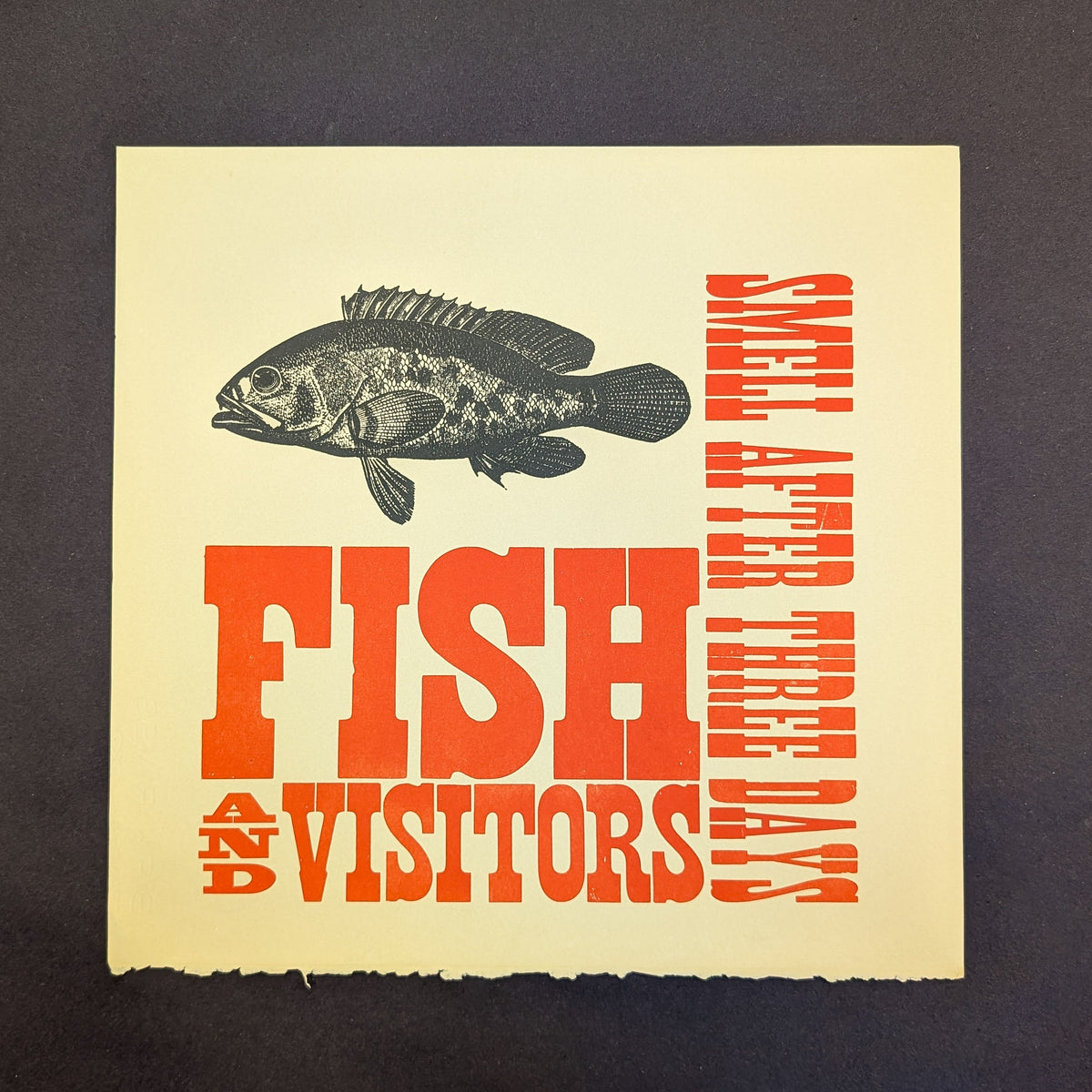 Fish and Visitors - Limited Broadside