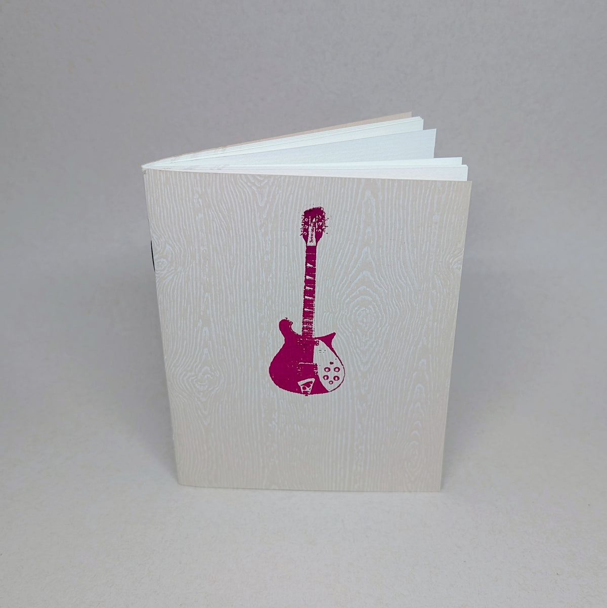 Guitar Logbook (Limited Edition Cover)