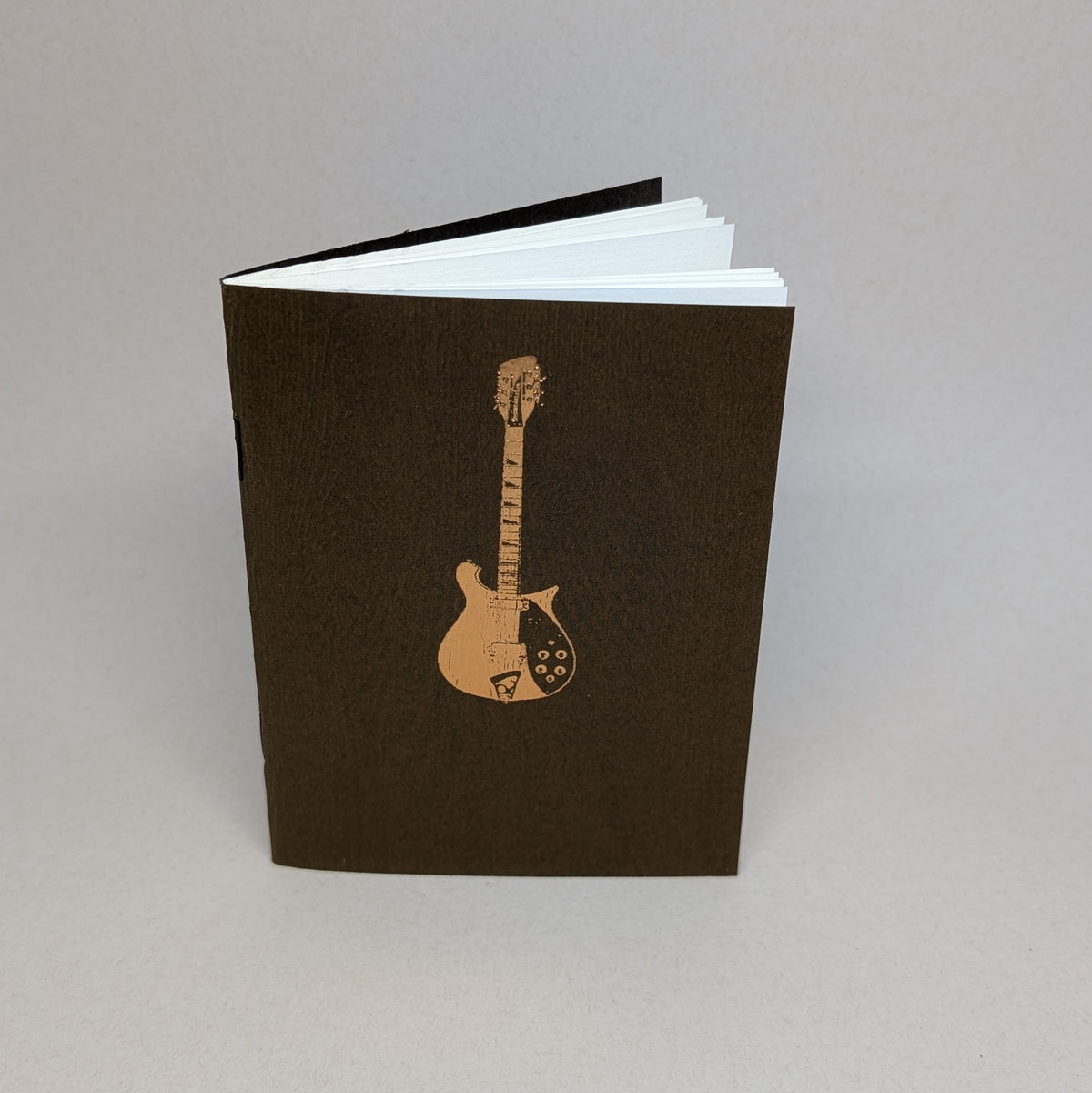 Guitar Logbook (Limited Edition Cover)