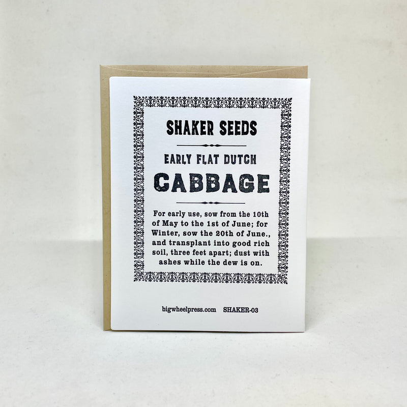 Early Flat Dutch Cabbage - Shaker Seeds