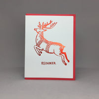 Reindeer