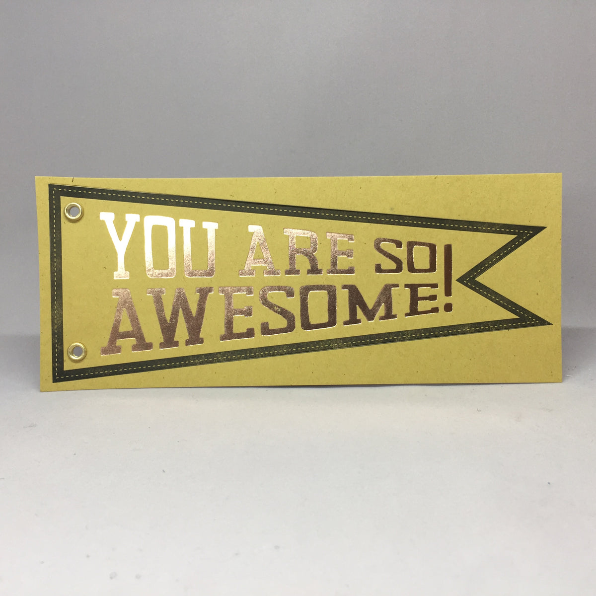 You are so Awesome!