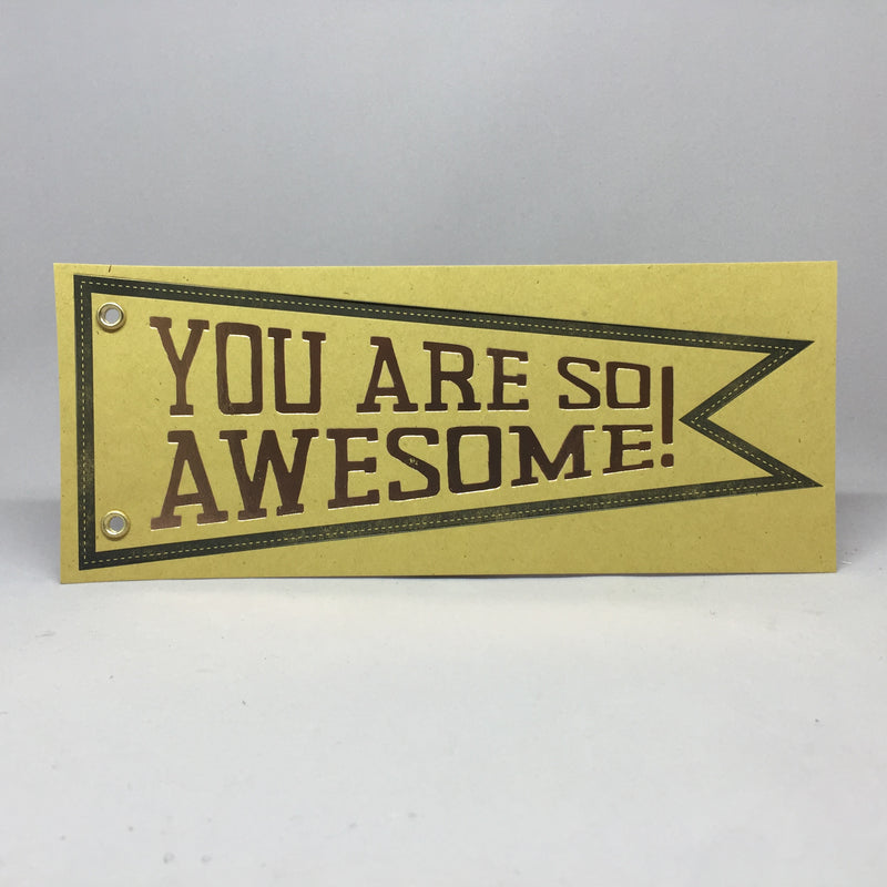 You are so Awesome!